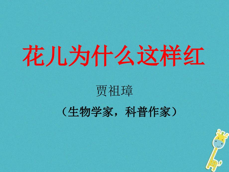 2018年江苏省海安县八年级语文下册第三单元13花儿为什么这样红课件苏教版_第1页