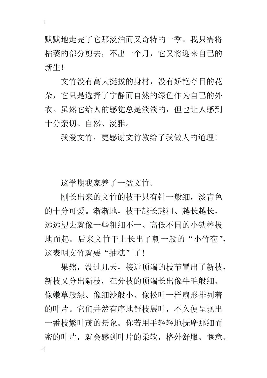 小学观察植物盆景作文400字 文竹_第2页