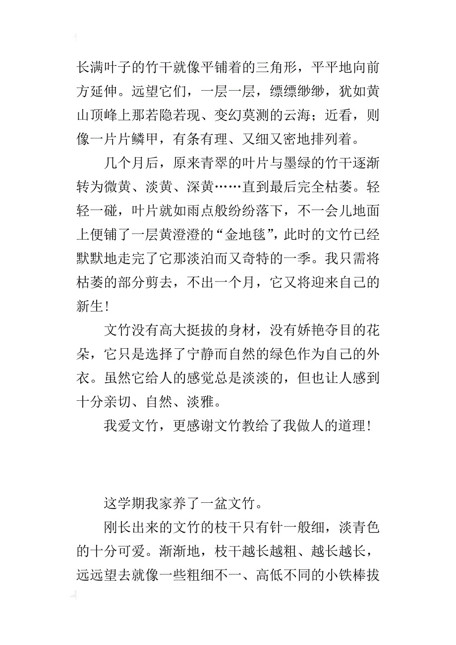 小学观察植物盆景作文400字 文竹_第3页