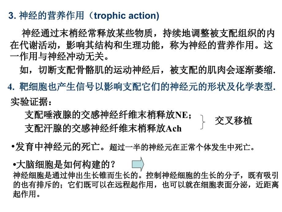 第十三章神经系统的运动机能_第5页