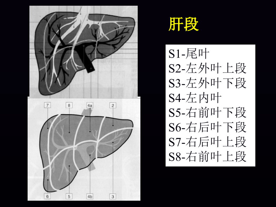 肝脏ct临床应用_第4页