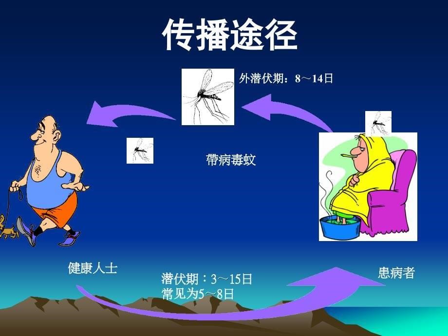 预防登革热人人有责2017_第5页