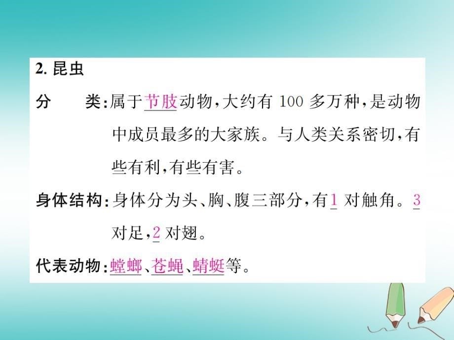 2018年七年级科学上册第2章观察生物第4节常见的动物第3课时常见的无脊椎动物课件新版浙教版_第5页