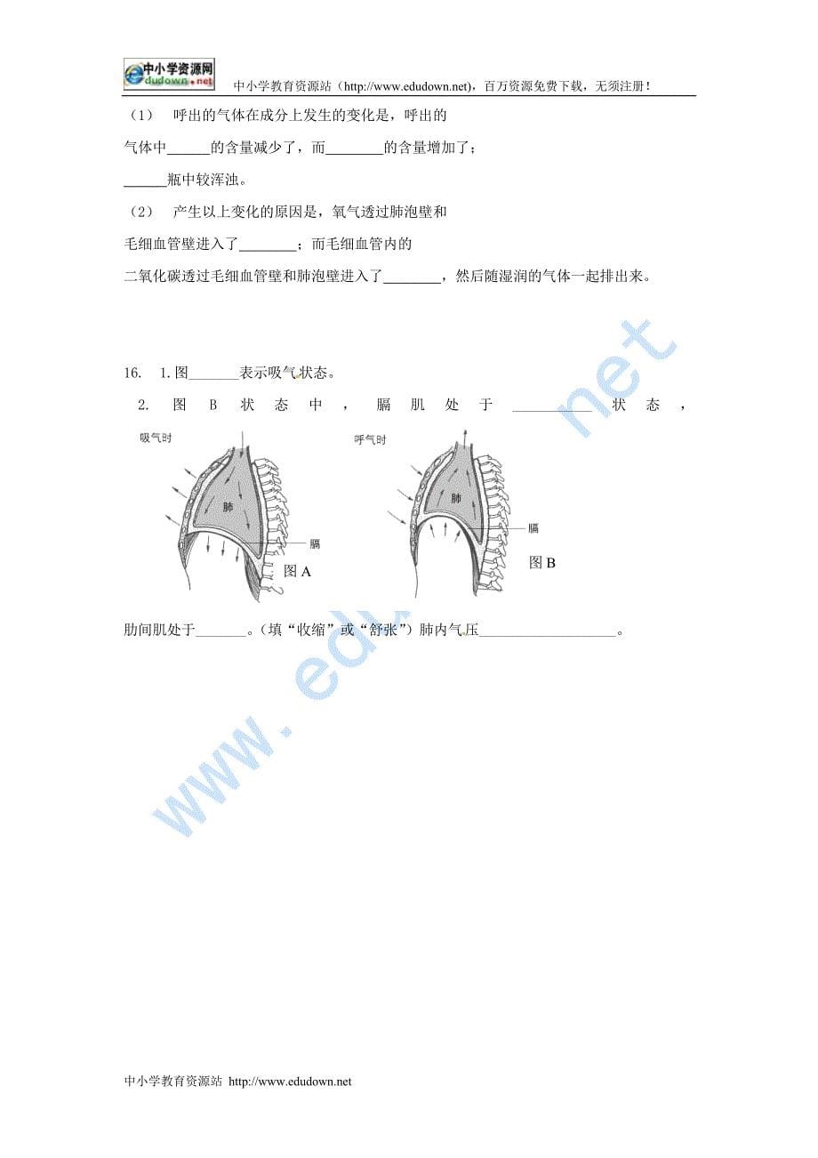 济南版生物七下2.1《人体与外界的气体交换》word学案1_第5页