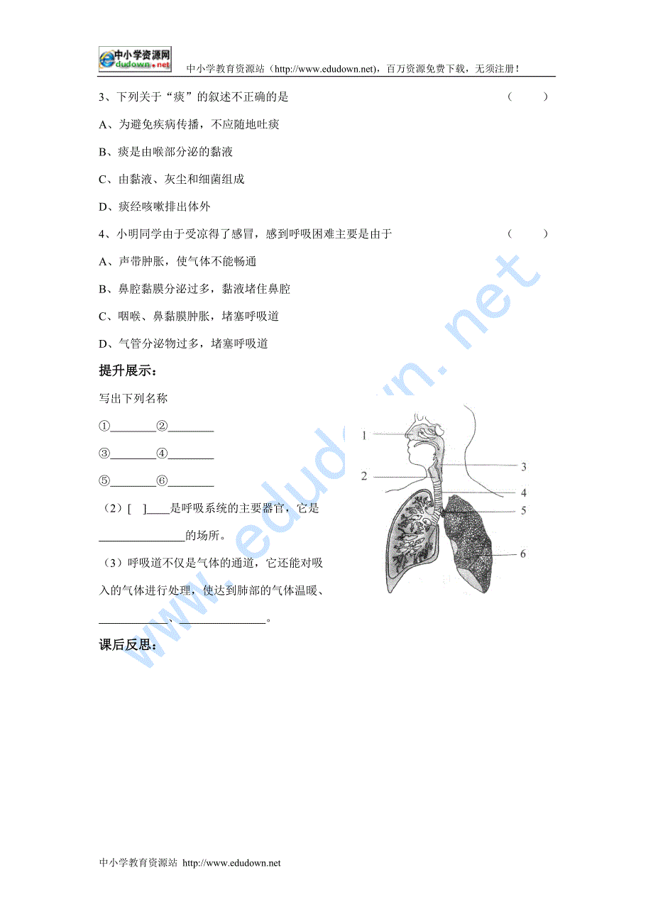 冀教版生物七下《呼吸》word教案_第2页