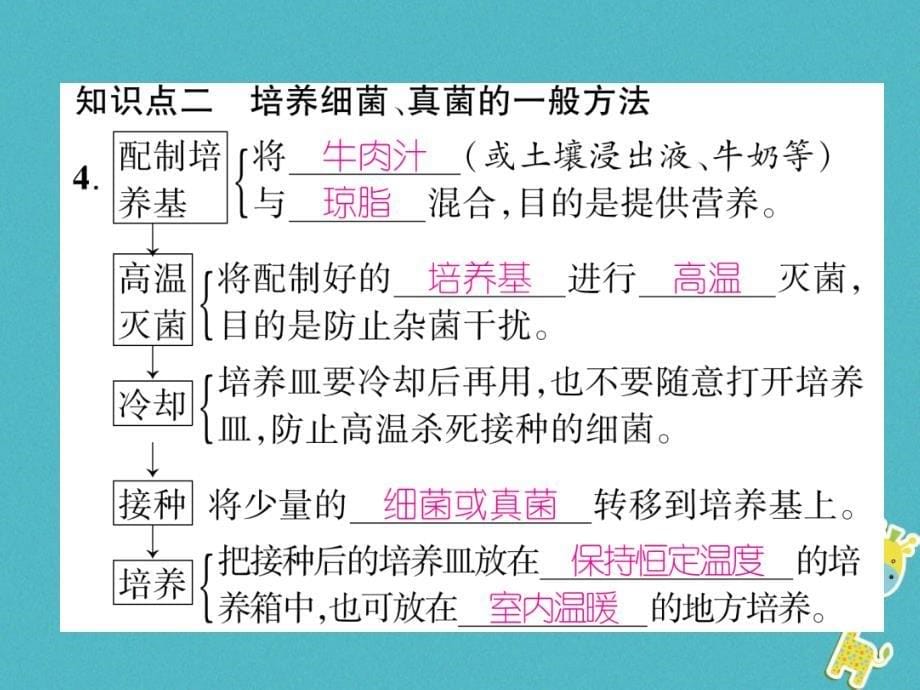 2018年八年级生物上册5.4.1细菌和真菌的分布作业课件新版新人教版_第5页