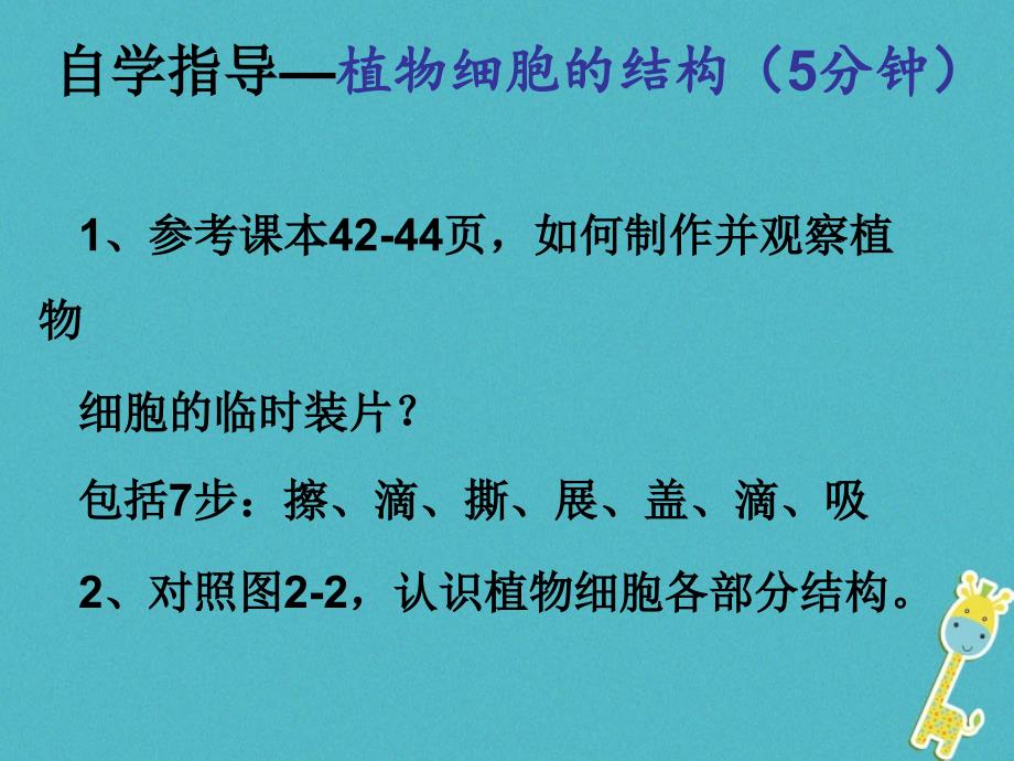 广东省汕头市七年级生物上册 2.1.2 植物细胞课件 （新版）新人教版_第4页