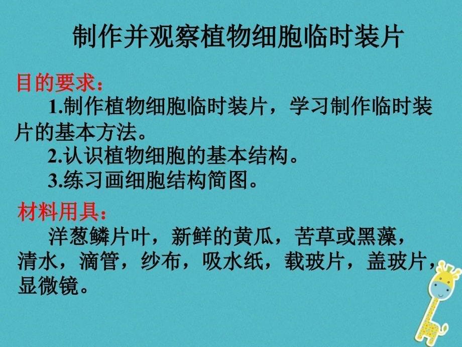 广东省汕头市七年级生物上册 2.1.2 植物细胞课件 （新版）新人教版_第5页