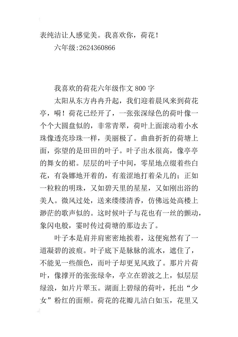 我喜欢的荷花六年级作文800字_第3页