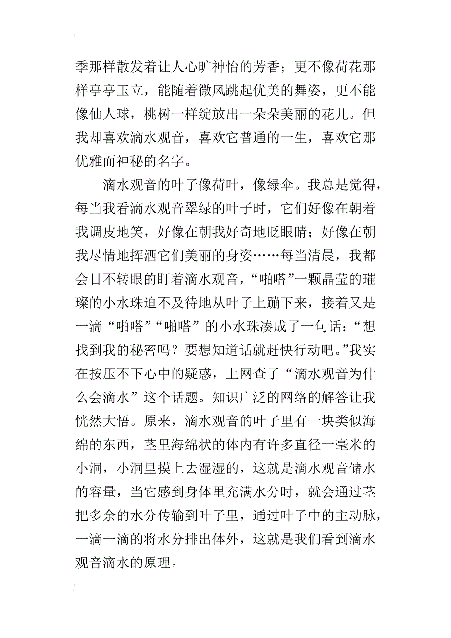 我家的滴水观音五年级作文400字_第4页