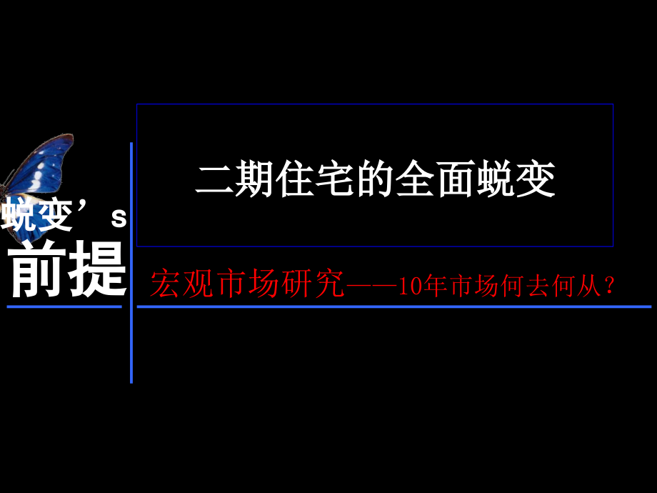 2009南京大吉山水田园商业、二期住宅营销策划报告77p_第2页