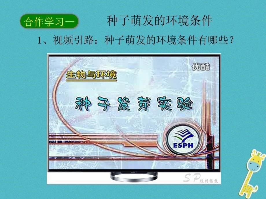 2018年陕西省石泉县七年级生物上册 3.2.1 种子的萌发课件 （新版）新人教版_第5页