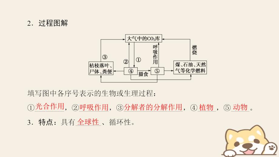 2018版高中生物第五章生态系统及其稳定性第3节生态系统的物质循环课件新人教版必修_第4页