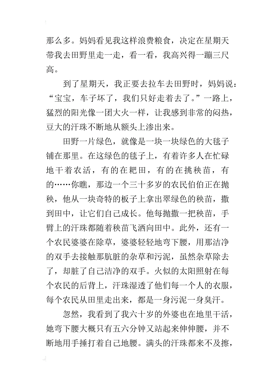 有关于节约粮食的作文300字、400字、500字、600字_第3页