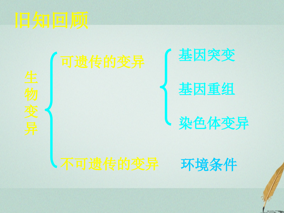 广东省平远县高中生物 5.2 染色体变异课件 新人教版必修2_第2页