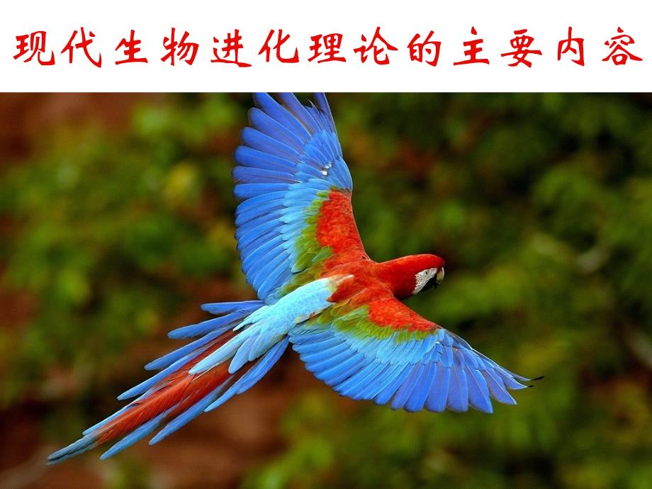 广东省平远县高中生物 7.2.1 种群基因频率的改变与生物进化课件 新人教版必修2_第1页
