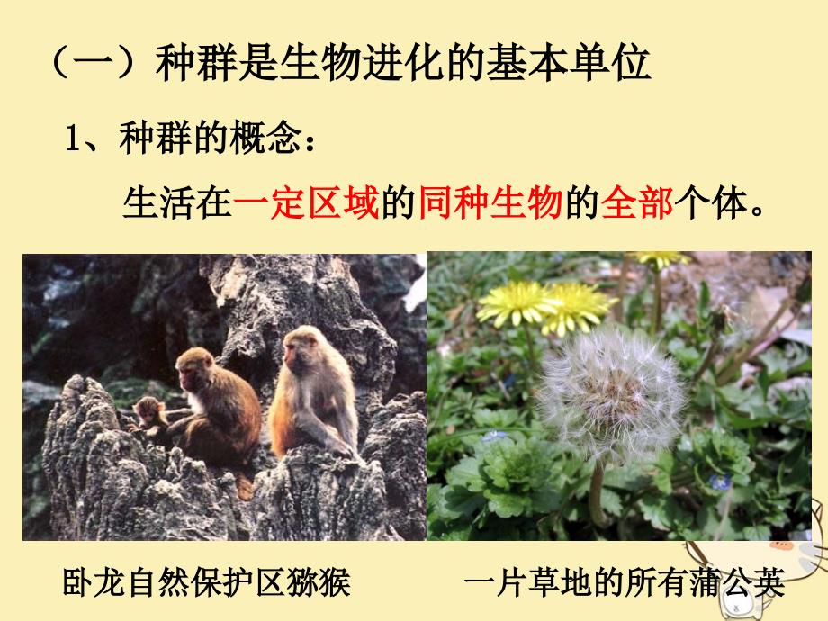 广东省平远县高中生物 7.2.1 种群基因频率的改变与生物进化课件 新人教版必修2_第3页