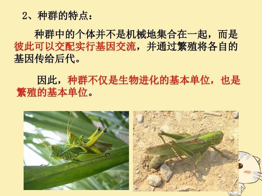 广东省平远县高中生物 7.2.1 种群基因频率的改变与生物进化课件 新人教版必修2_第5页