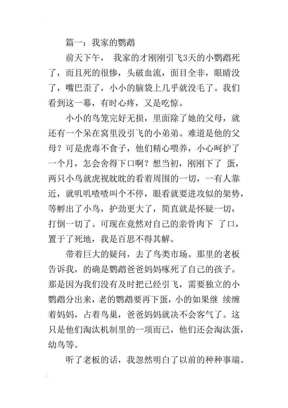 我家的鹦鹉作文700字600字_第3页