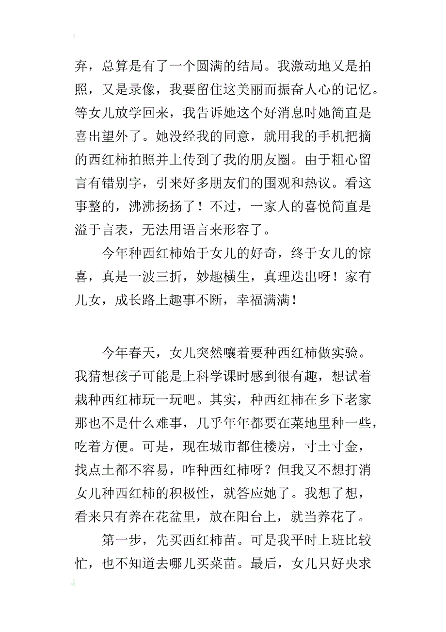 教师生活随笔 西红柿栽种趣事_第3页