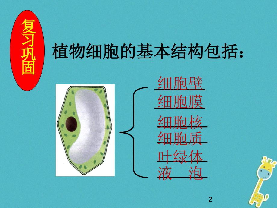 安徽省合肥市长丰县七年级生物上册2.1.3动物细胞课件4新版新人教版_第2页