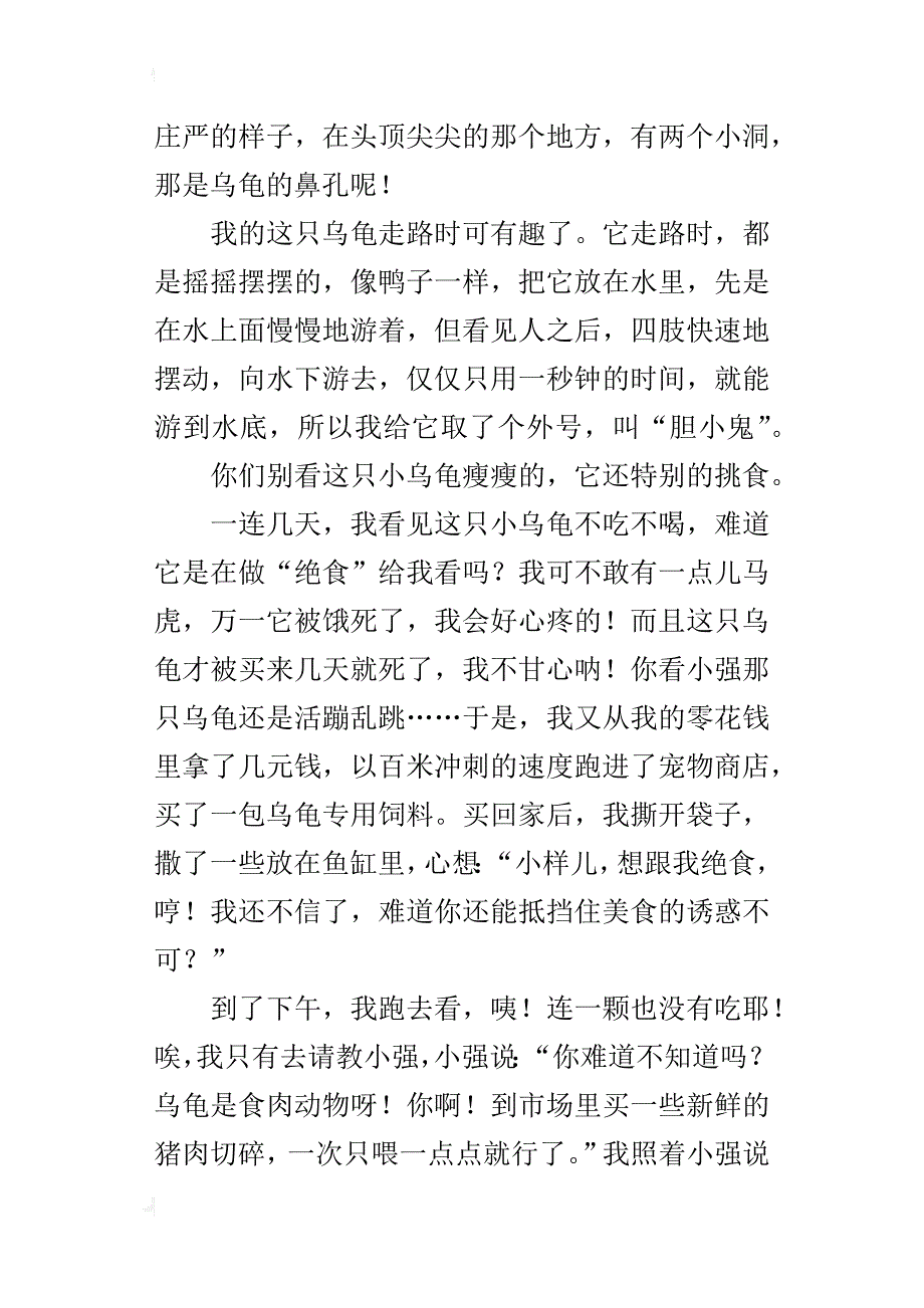 我的小乌龟作文1000字六年级_第2页