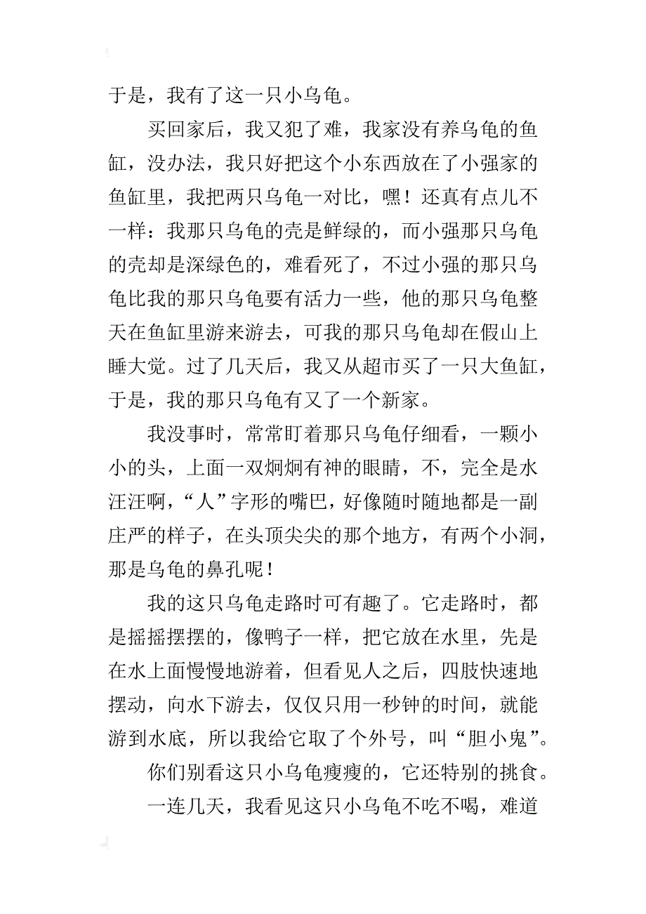 我的小乌龟作文1000字六年级_第4页