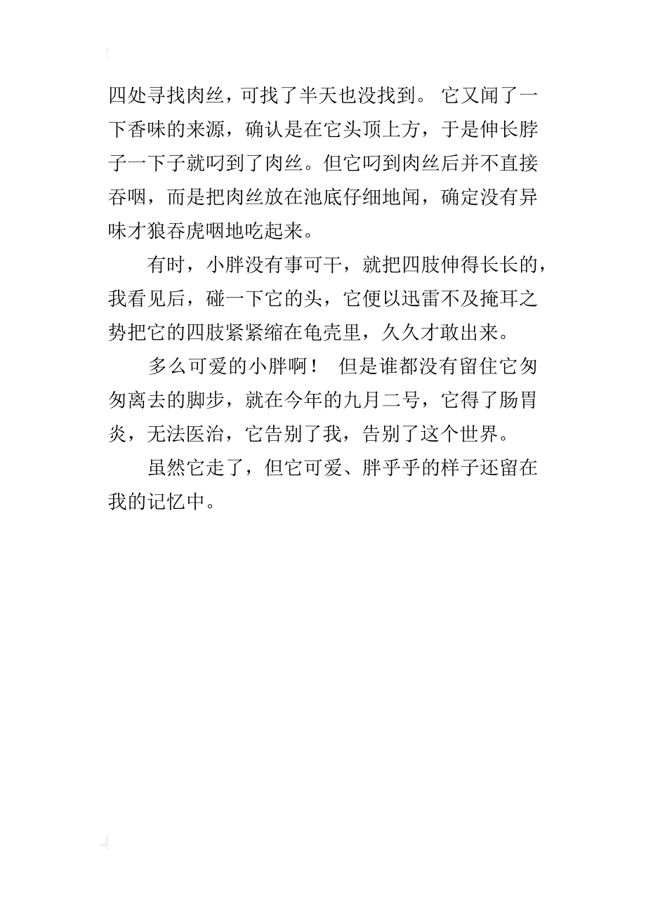 我的动物朋友金钱龟五年级作文400字_第4页