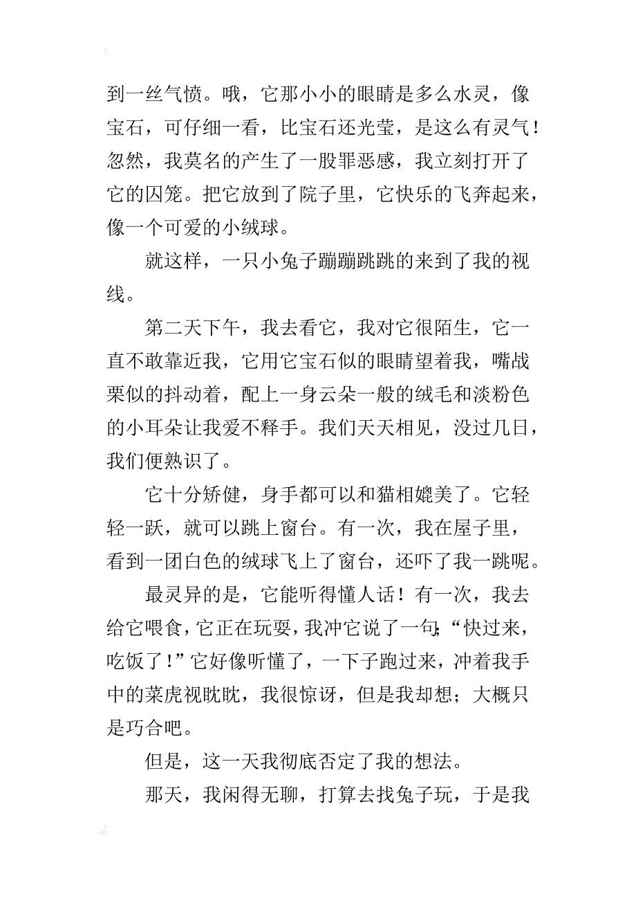 我家的”兔子精“六年级童话600字_第3页