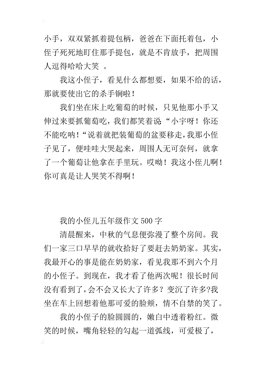 我的小侄儿五年级作文500字_第2页