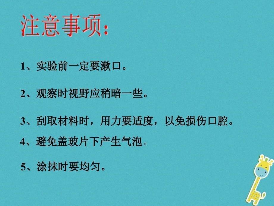 安徽省合肥市长丰县七年级生物上册2.1.3动物细胞课件3新版新人教版_第5页