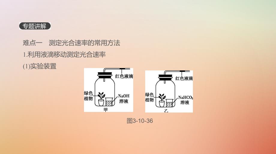 2019版高考生物一轮复习第3单元细胞的能量供应和利用拓展微课光合速率的测定方法及计算课件_第2页