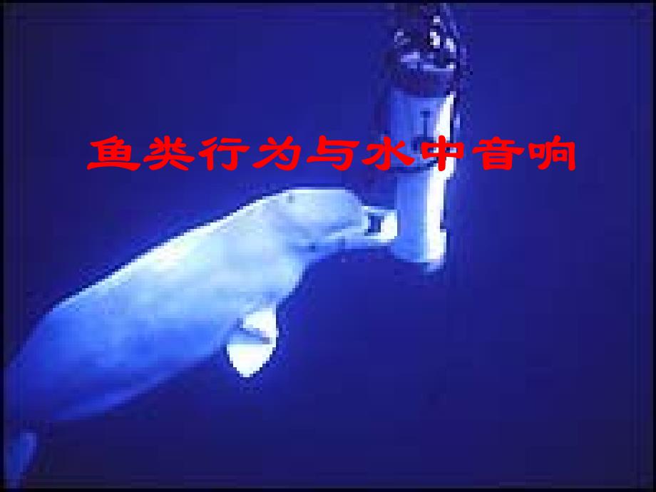 鱼类行为与水中音响_第1页