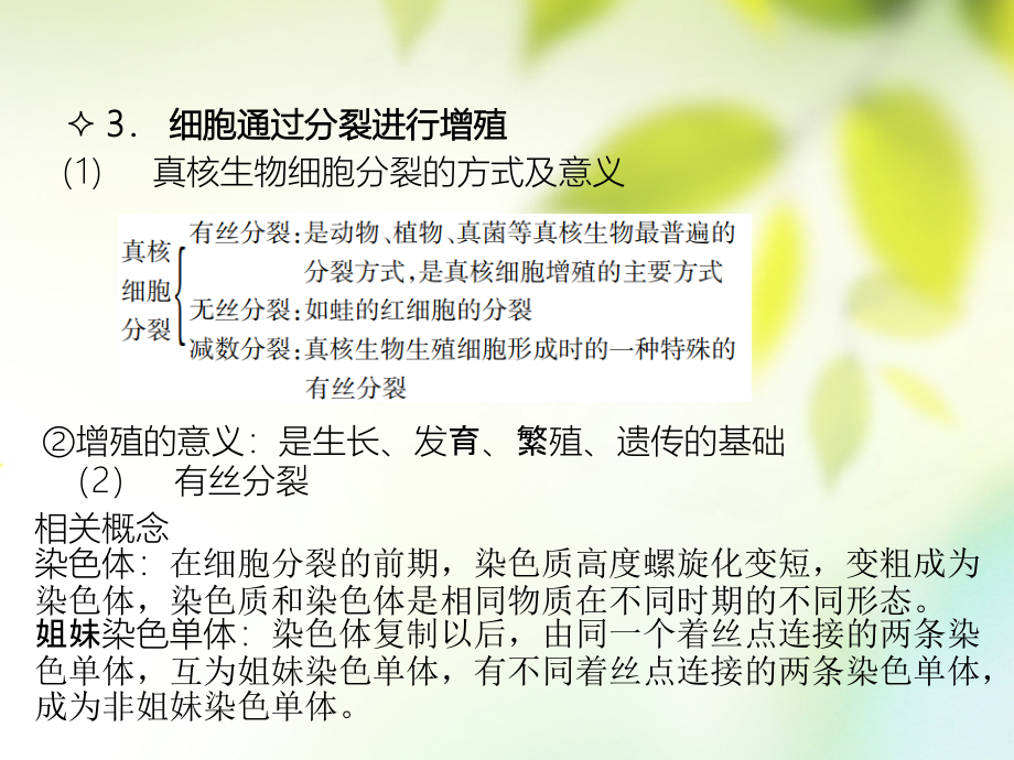 600分考点700分考法a版2019届高考生物总复习第五章细胞的生命历程课件_第4页