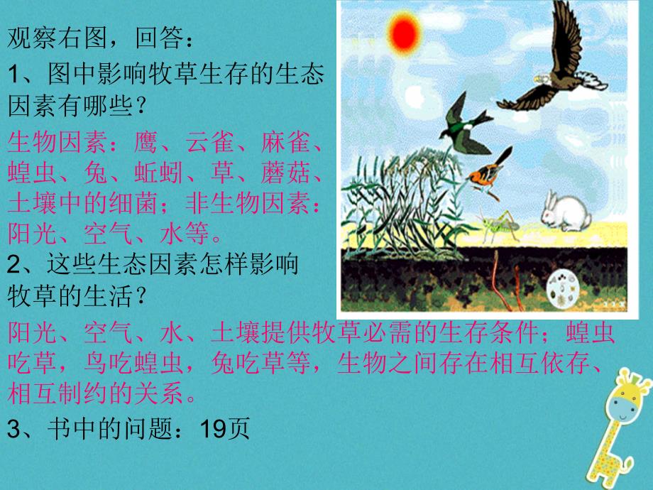 安徽省合肥市长丰县七年级生物上册1.2.2生物与环境组成生态系统课件3新版新人教版_第2页