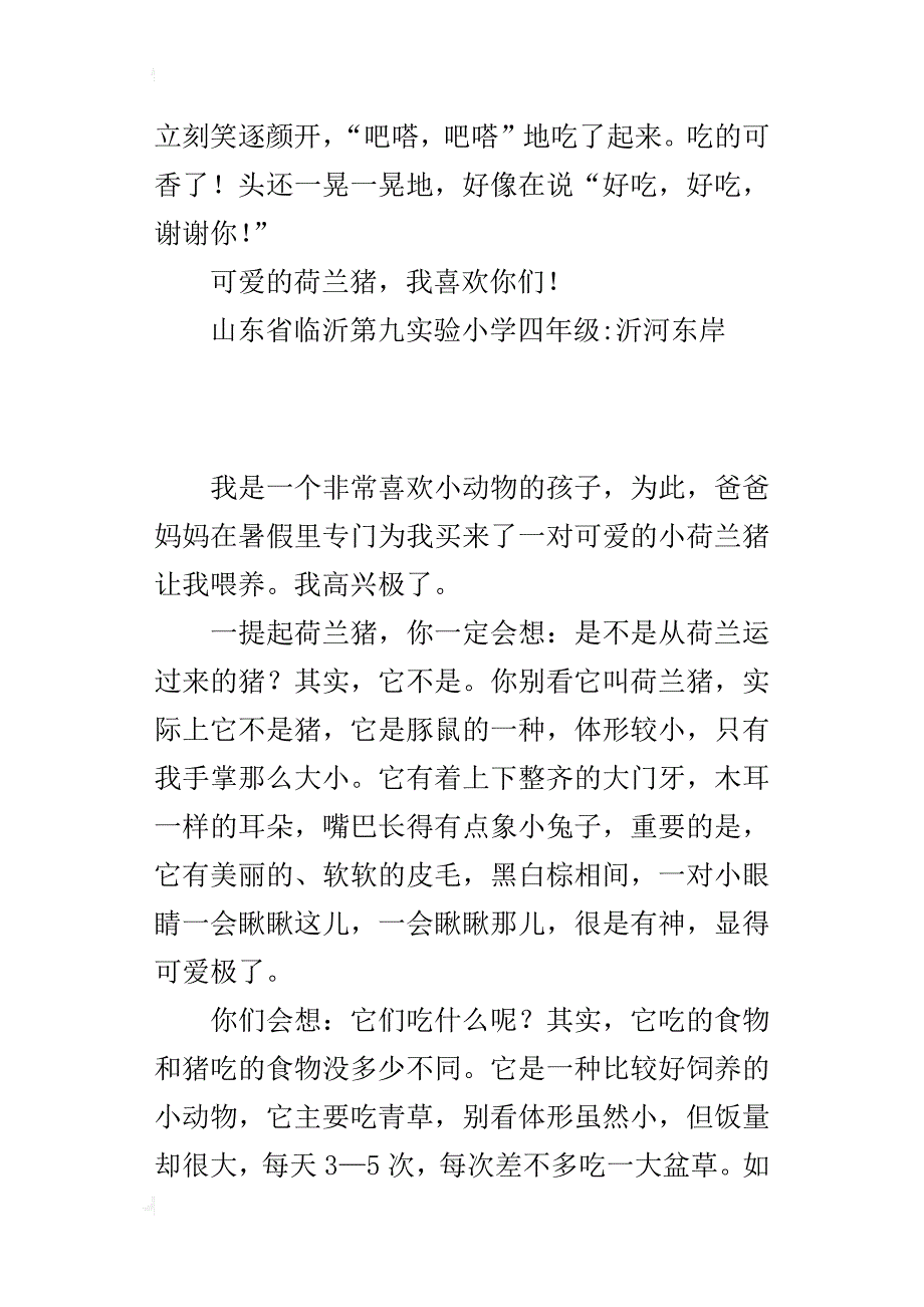 我最喜欢的动物小学作文：荷兰猪_第2页