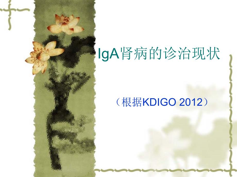 iga肾病诊治现状 2012年_第1页