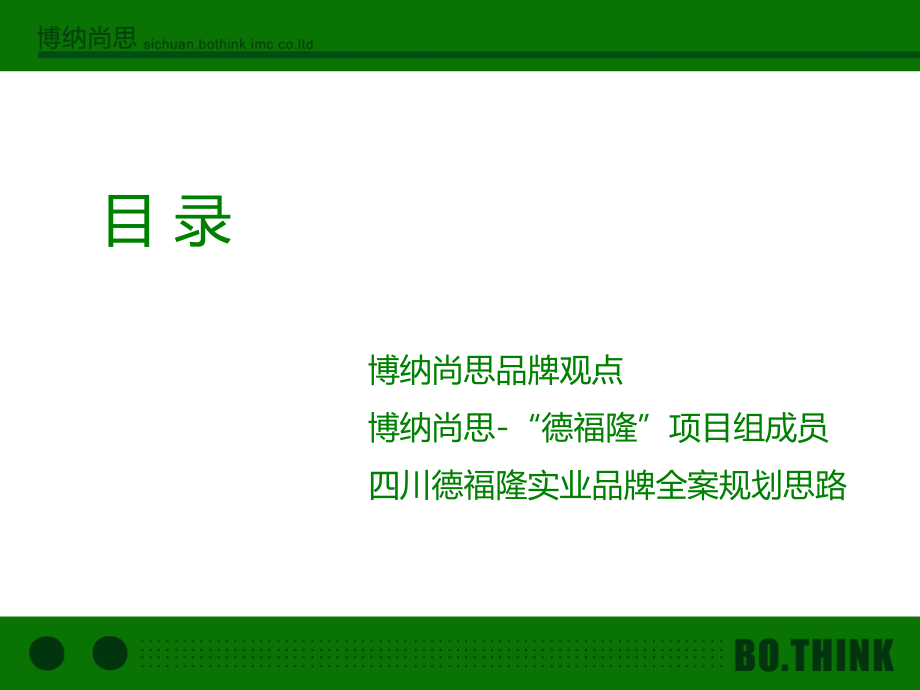 2010四川德福隆实业有限公司品牌规划全案_第3页