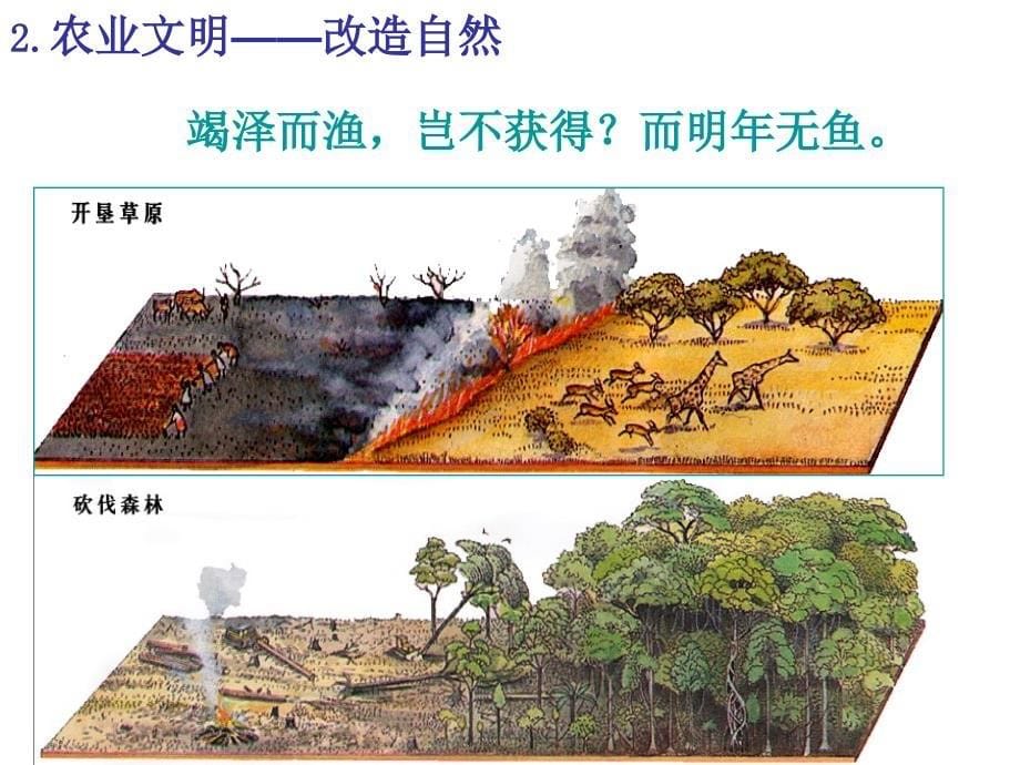 新坐标p146_第5页