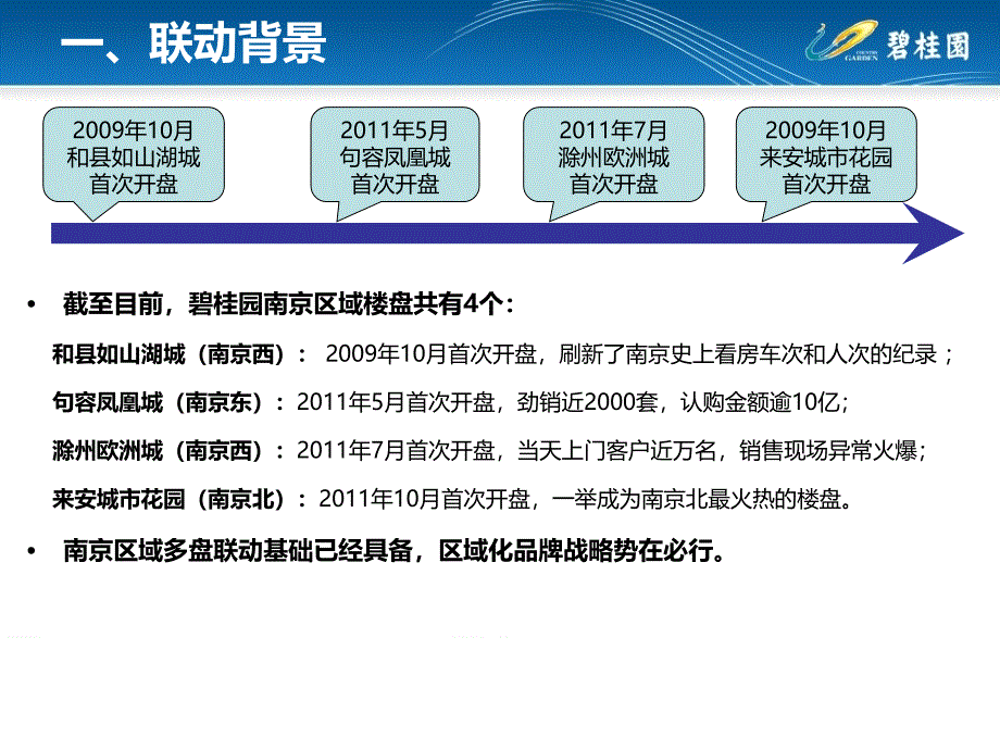 2012年碧桂园南京区域四盘联动策略报告_第3页