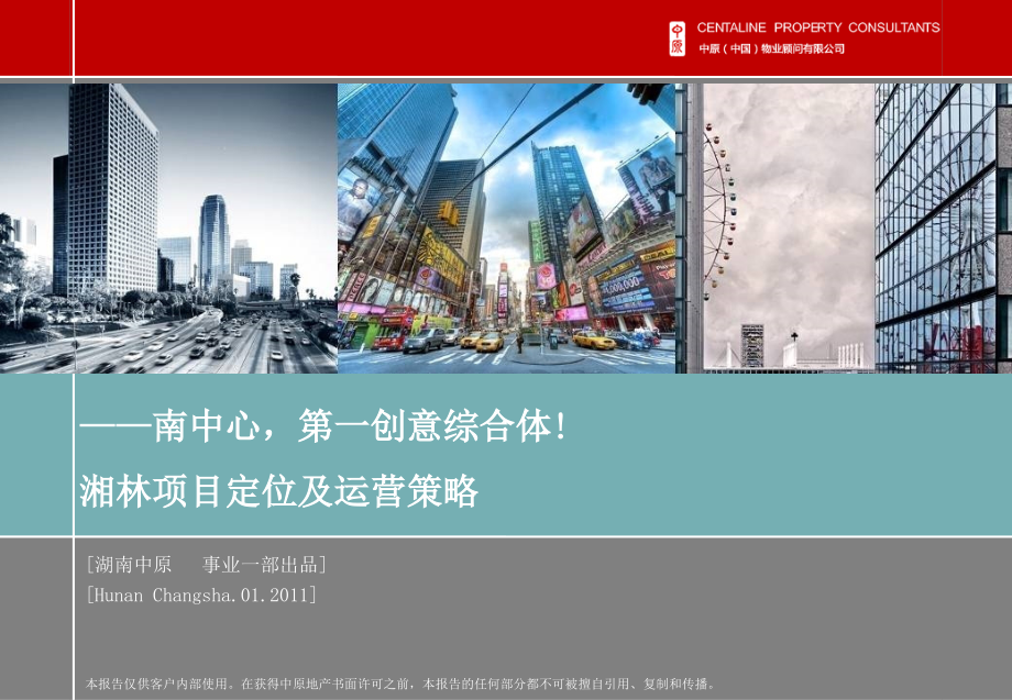 20110124湘林·国际城市广场项目定位及运营策略_第1页