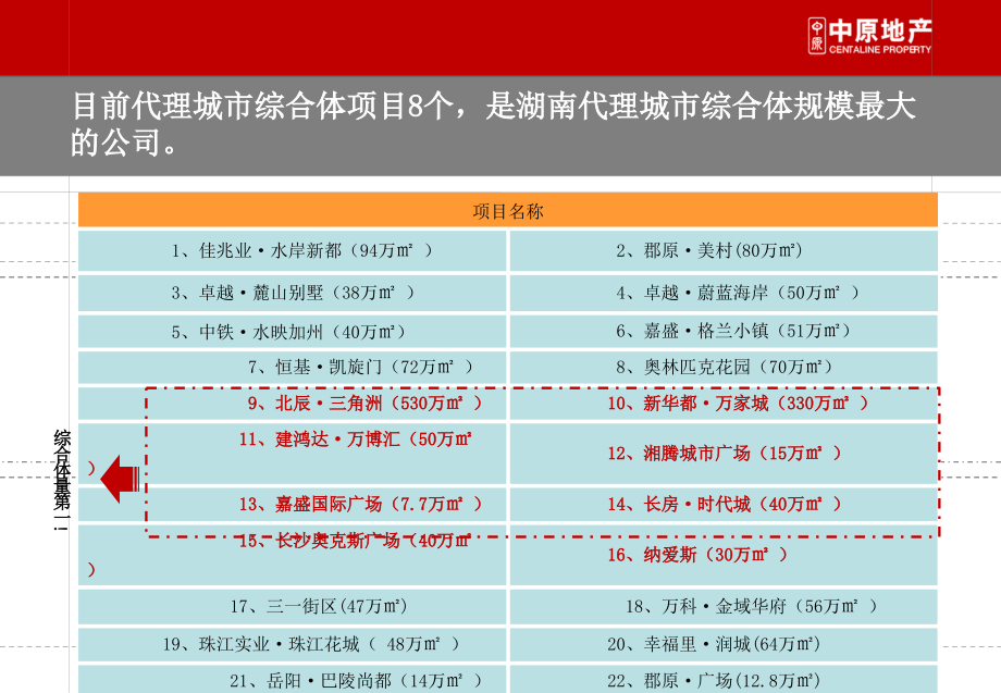 20110124湘林·国际城市广场项目定位及运营策略_第4页