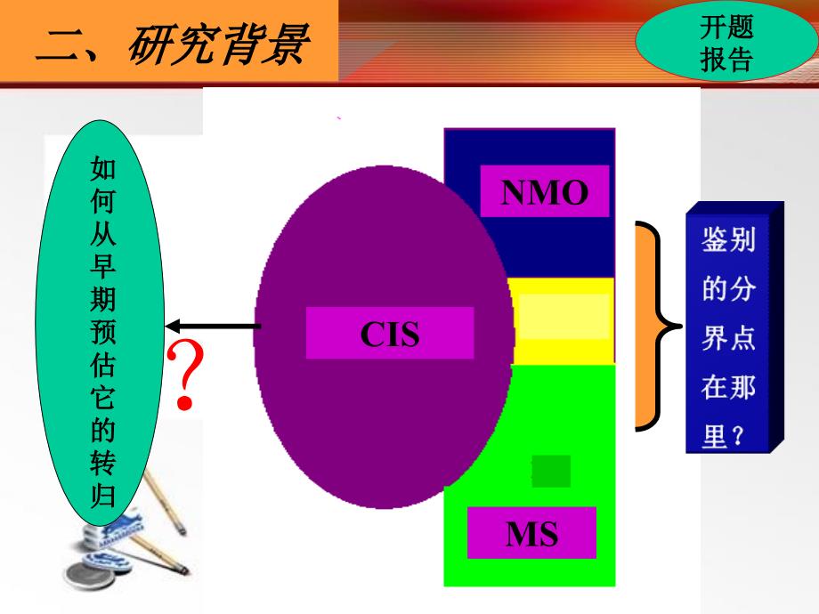 中国NMOMS诊断标记的筛选与评价博士论文_第3页