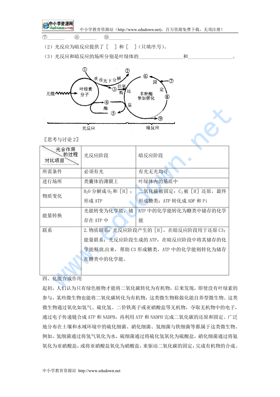 新人教版生物(必修1)5.4《能量之源—光与光合作用》word学案_第3页