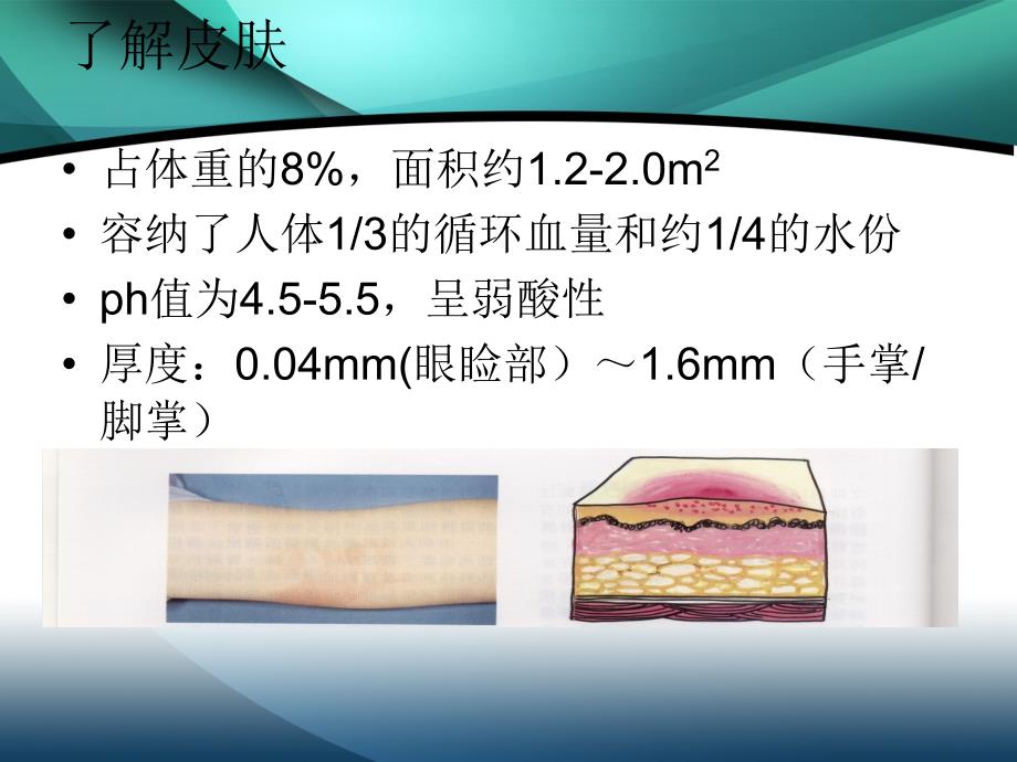 伤口评估测量及伤口敷料选择与应用_第4页