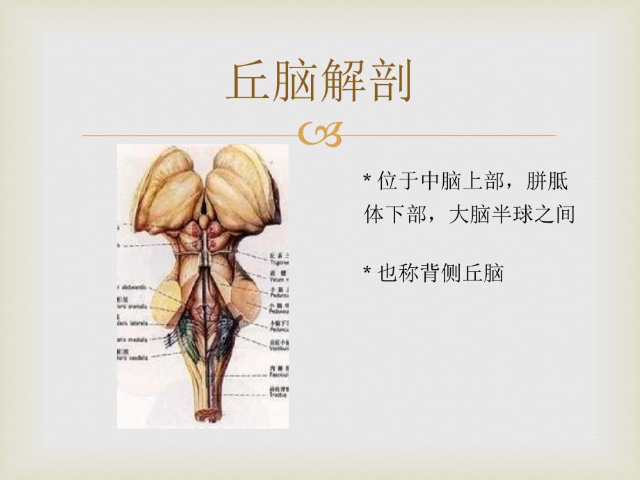 丘脑梗塞_第2页