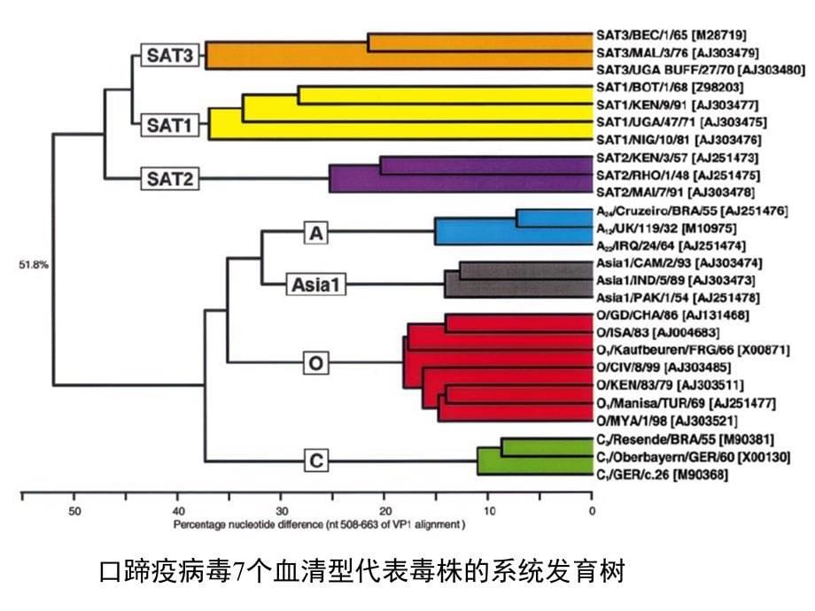 口蹄疫疫苗及其使用蒙牛培训蒋懿超ppt课件_第5页