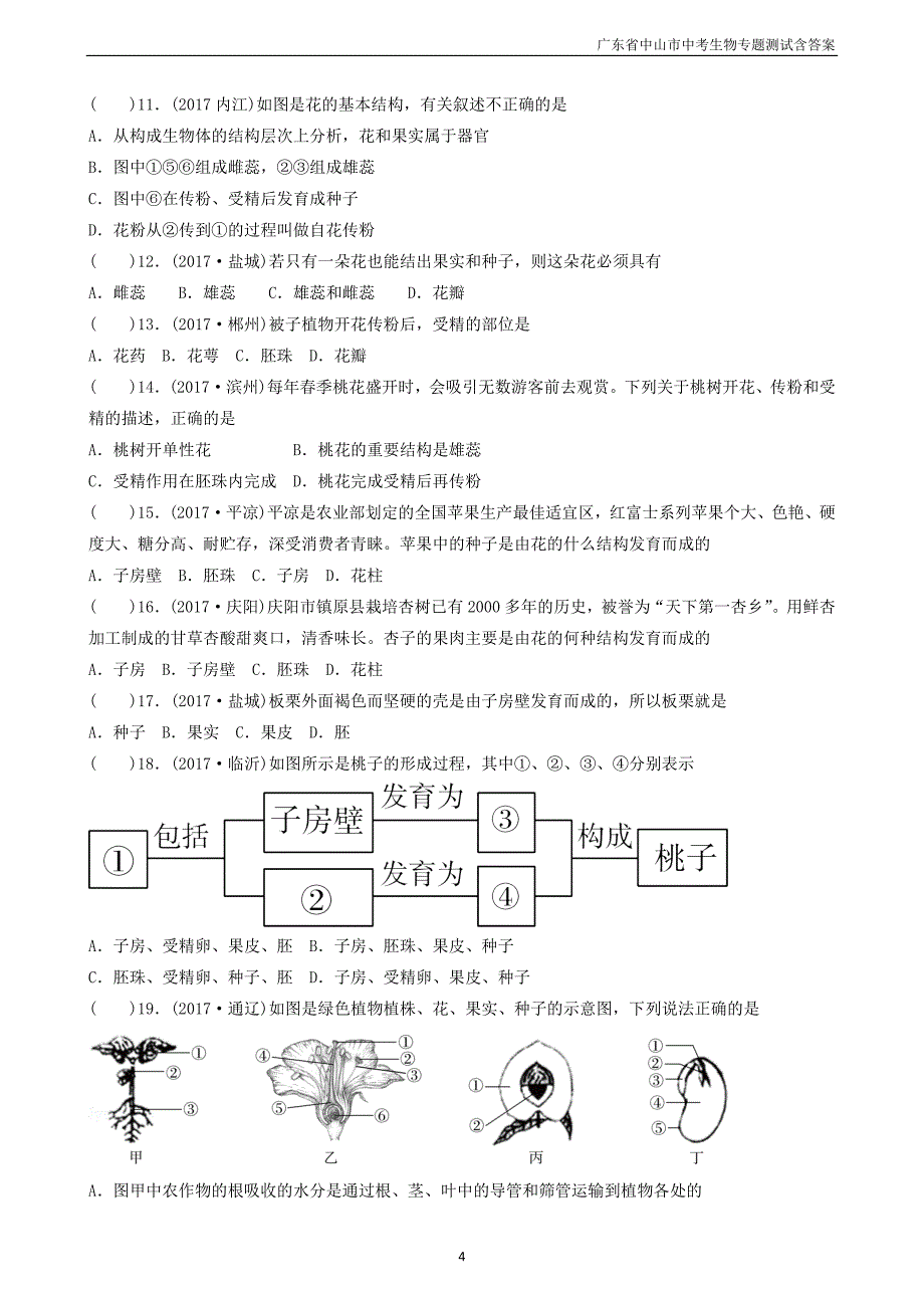 广东省中山市2018年中考生物专题复习第三单元生物圈中的绿色植物第二章被子植物的一生_第4页