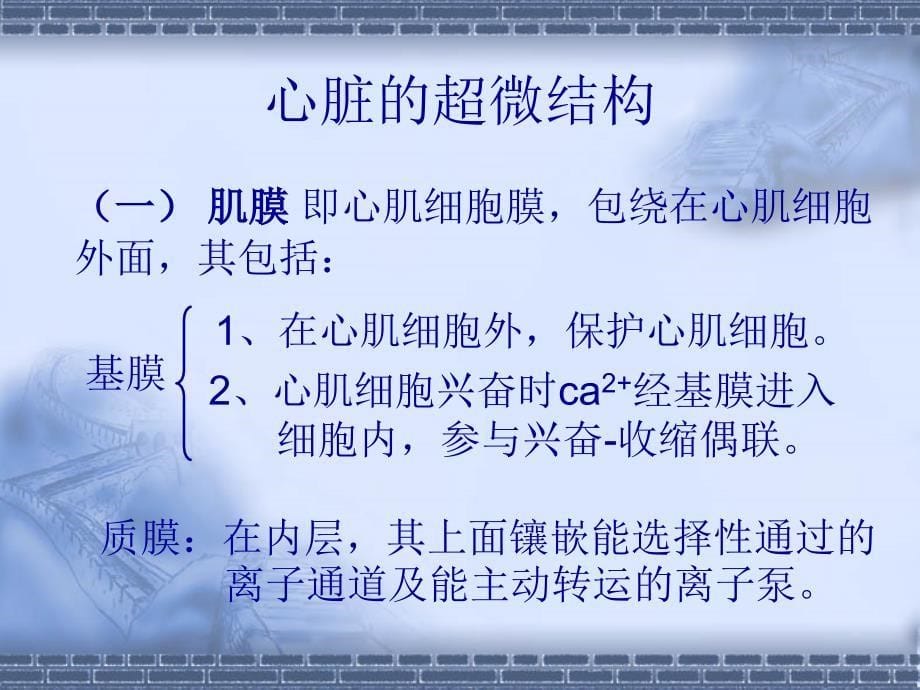 充血性心力衰竭的基础研究课件幻灯_第5页