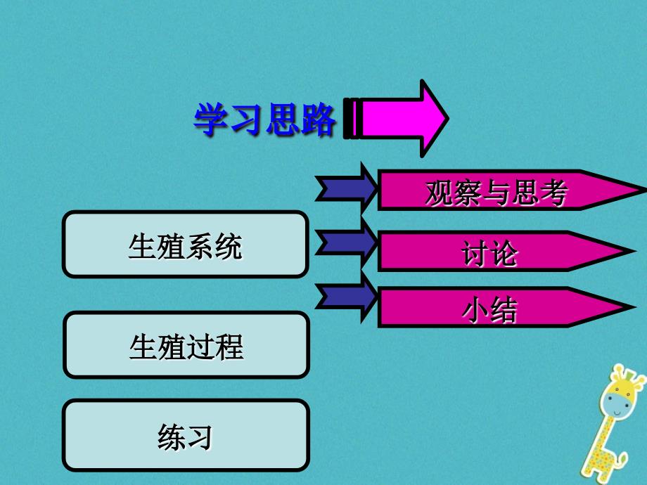 吉林省长春市七年级生物下册4.1.2人的生殖课件新人教版_第3页